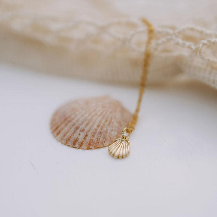 Sea Shell Necklace-Necklaces-Mauve Jewelry Co.-Pure Quartz-3